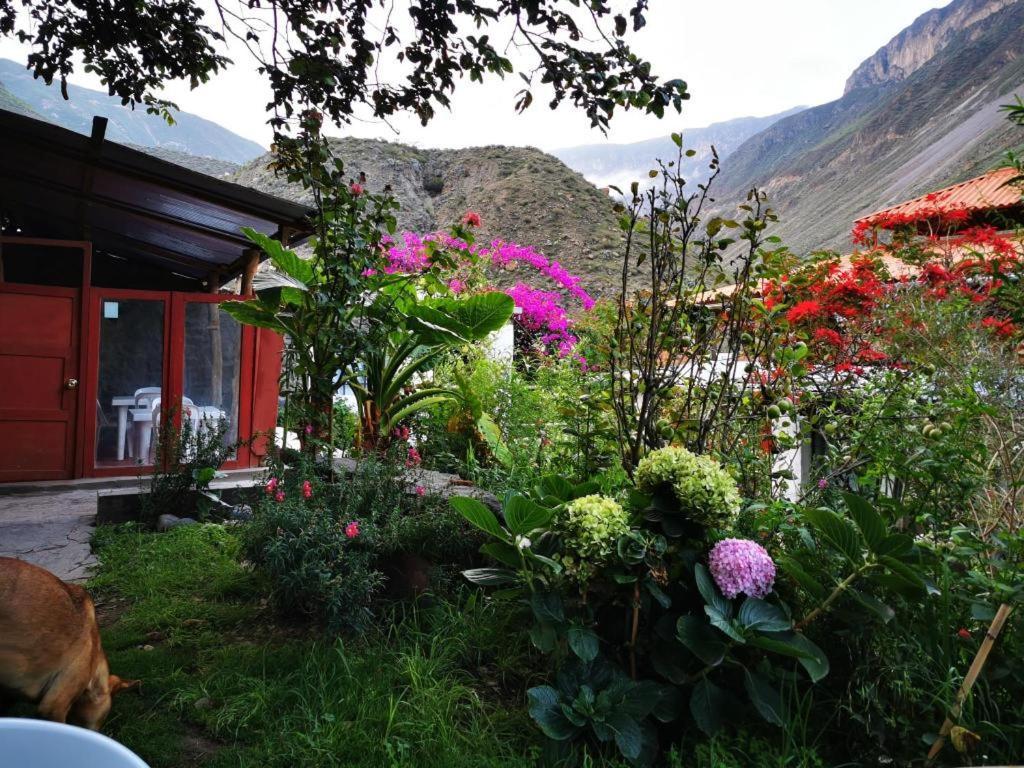 Casa De Virginia Villa Cabanaconde Eksteriør bilde